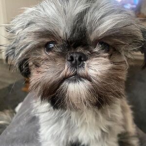 Meet your Posher, Kirsty